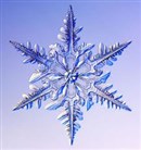 Eirwen - Our Snowflake