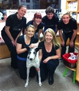 Image of Mosman Vets Running for Greyhounds Mosman Vets Running for Greyhounds