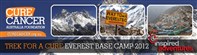 Trek for a Cure - Everest February 2012